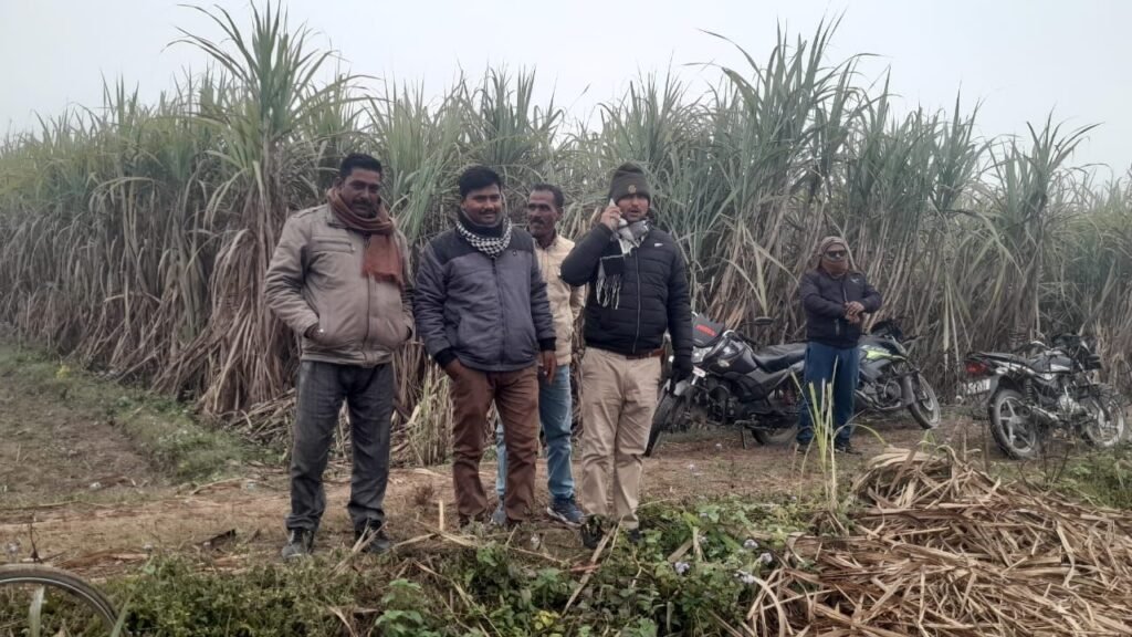 बिलहरी बीट के गांव में फिर एक बार बाघ की दहशत, मौके पर किसान नेता अंजनी दीक्षित ने सभी किसानों को बाघ से प्रभावित स्थान से दूर रहने की दी हिदायत | New India Times