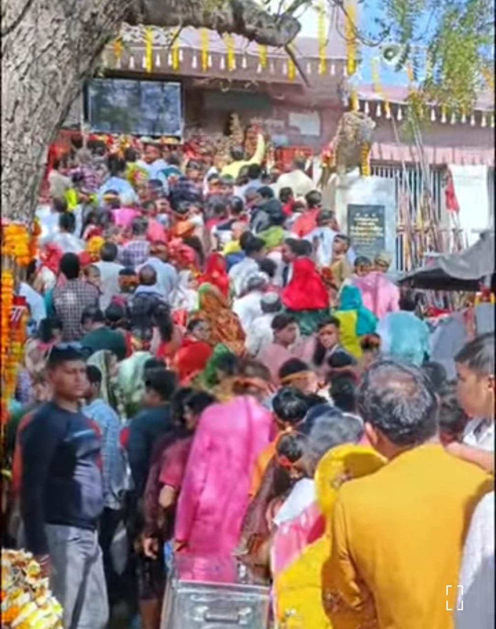 खुलासे से भयभीत आयुक्त रीवा, निराकरण किए जाने में छूट रहे पसीना | New India Times