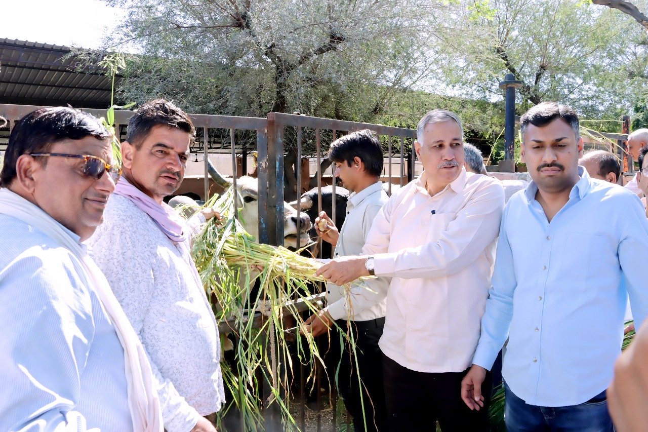 पूर्व मुख्यमंत्री व वरिष्ठ भाजपा नेता वसुंधरा राजे का जन्मदिन मनाया गया सादगीपूर्ण तरीके से | New India Times