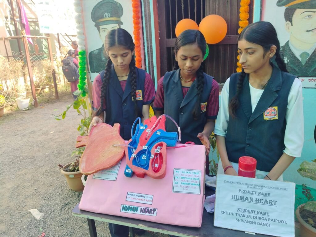 विनायक पब्लिक स्कूल में वार्षिक विज्ञान प्रदर्शनी का हुआ आयोजन | New India Times