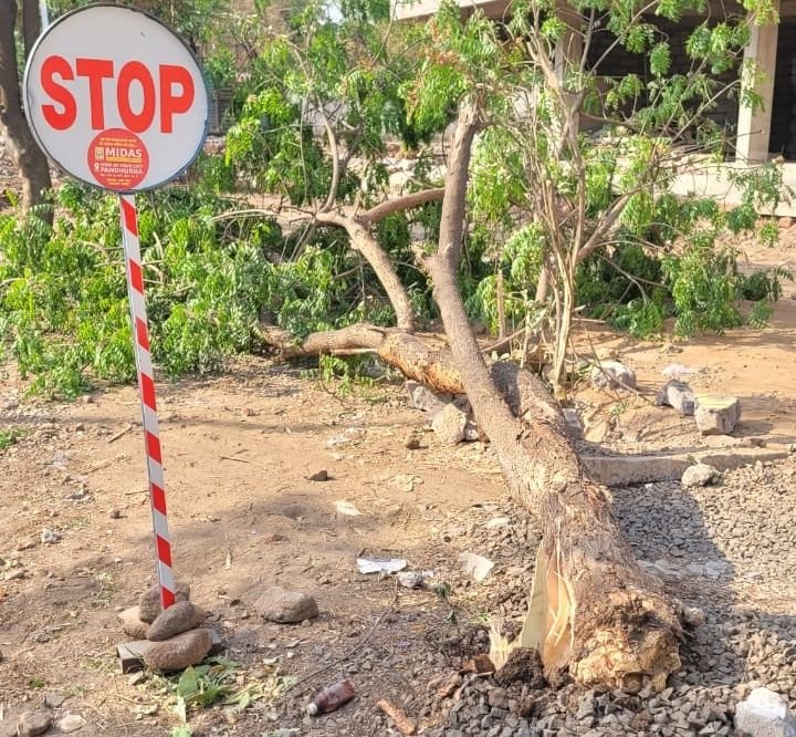 कोचिंग क्लासेस के सामने जेसीबी मशीन से नाली एवं हरे भरे पेड़ों को किया धराशाही,‌ पार्षद दुर्गेश उईके ने किया वृक्षा रोपण | New India Times