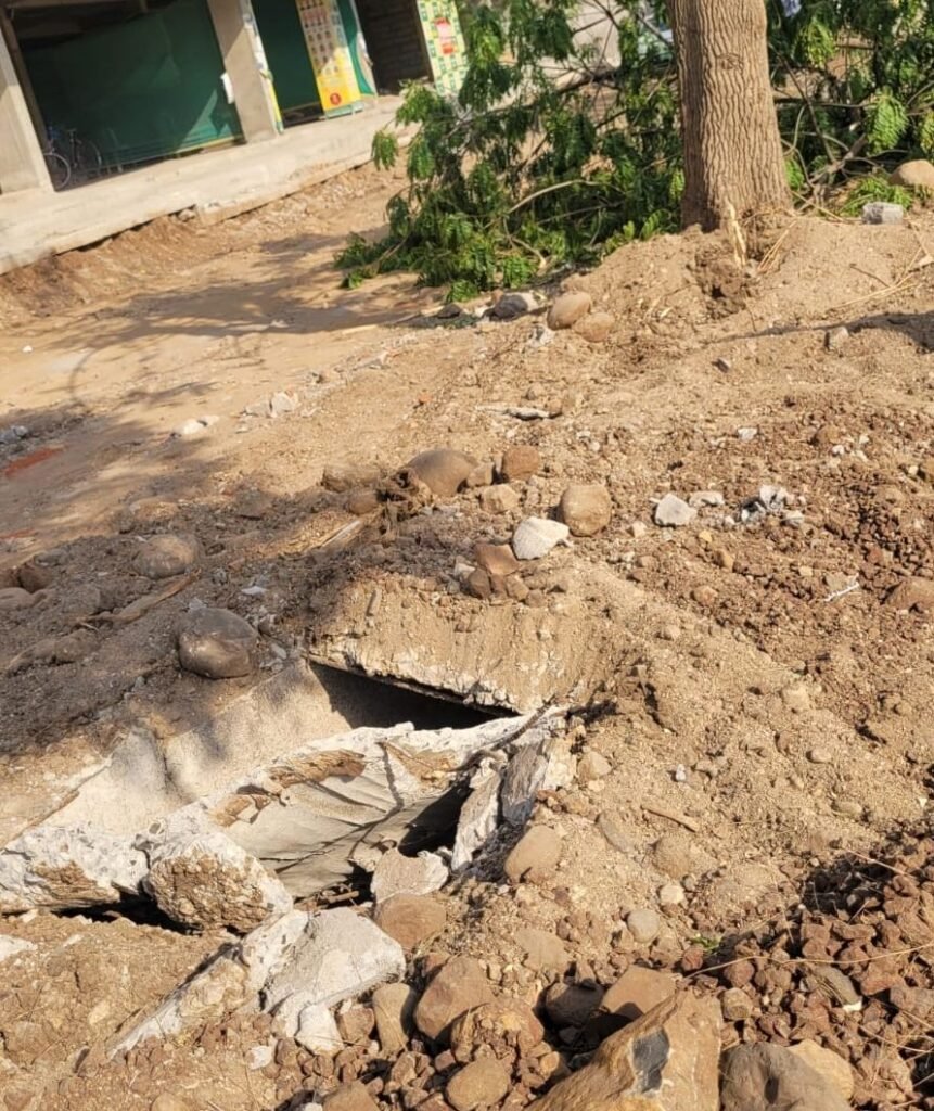 कोचिंग क्लासेस के सामने जेसीबी मशीन से नाली एवं हरे भरे पेड़ों को किया धराशाही,‌ पार्षद दुर्गेश उईके ने किया वृक्षा रोपण | New India Times