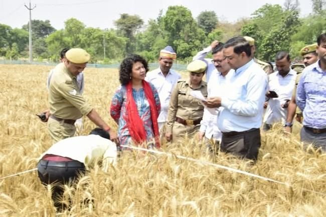 डीएम ने अपनी देखरेख में कराई क्रॉप कटिंग, किसानों से सीधा संवाद कर जानी समस्याएं | New India Times