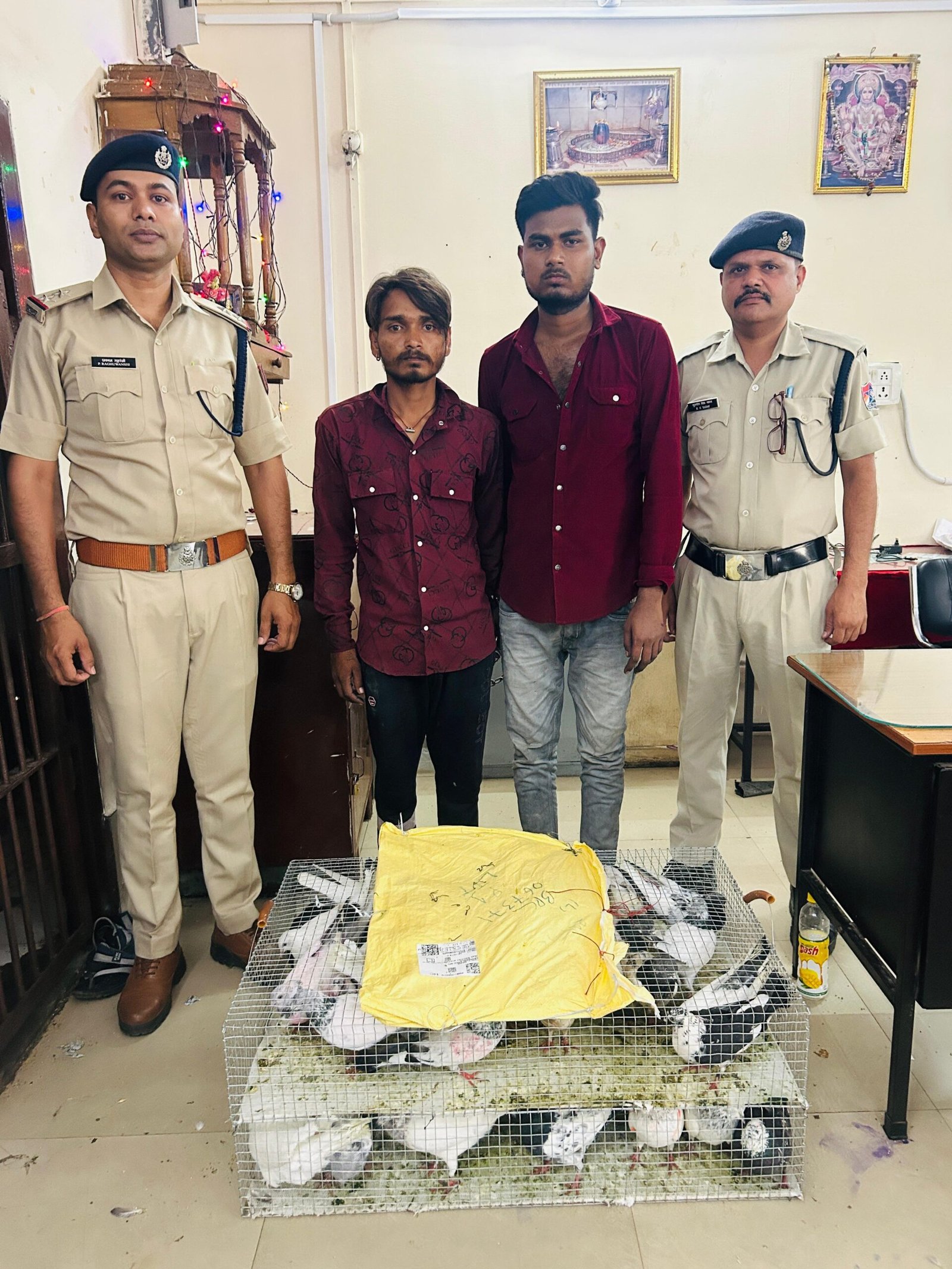 रेलवे सुरक्षा बल भोपाल ने कबूतर चोरी करने वाले दो आरोपियों को किया गिरफ्तार | New India Times