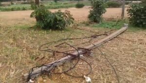 बिजली विभाग की बड़ी लापरवाही, करंट लगने से एक की मौत, एक गंभीर, क्या होगी विभाग पर कार्यवाही ? 2 बिजली विभाग की बड़ी लापरवाही, करंट लगने से एक की मौत, एक गंभीर, क्या होगी विभाग पर कार्यवाही ? | New India Times