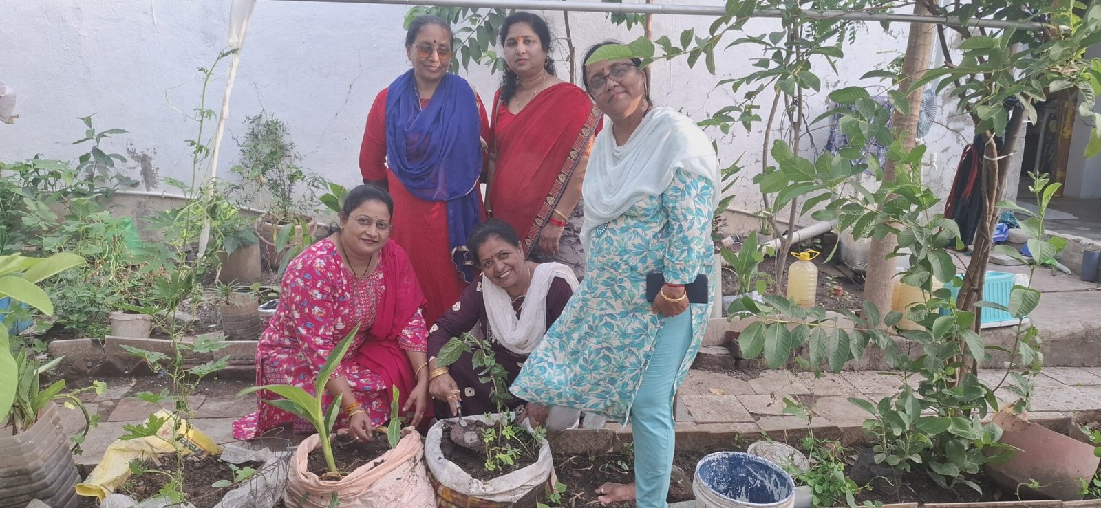 पर्यावरण दिवस पर जायंट्स सहेली ग्रुप बुरहानपुर ने किया वृक्षारोपण | New India Times