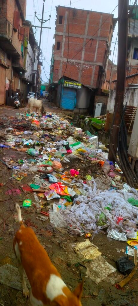 भोपाल में गंदगी चरम पर, क्या 'स्वच्छ सिटी' का तमगा सिर्फ दिखावा था? 2 भोपाल में गंदगी चरम पर, क्या 'स्वच्छ सिटी' का तमगा सिर्फ दिखावा था? | New India Times