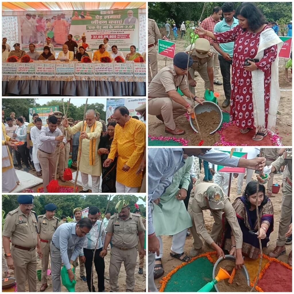 वृक्ष हमारे जीवन के लिए अत्यधिक महत्वपूर्ण: वित्त मंत्री सुरेश कुमार | New India Times