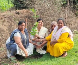 मातृधरा अभियान के तहत नगर परिषद पेटलावद ने किया वृक्षारोपण | New India Times