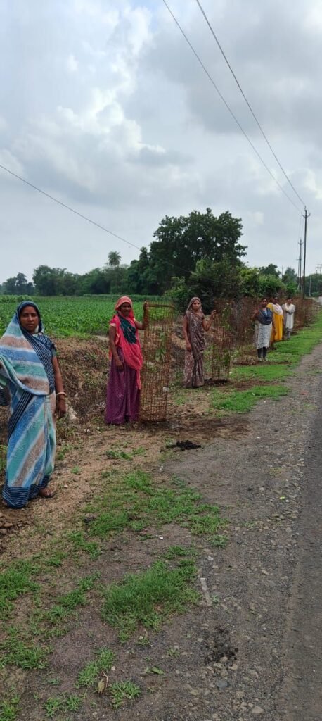 मातृधरा अभियान के तहत नगर परिषद पेटलावद ने किया वृक्षारोपण | New India Times