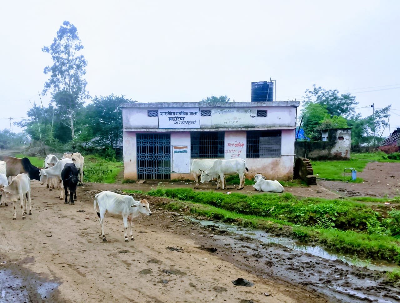 प्राथमिक शाला मछरिया में भूखे बैठे रहे बच्चे, सोशल मीडिया पर वीडियो वायरल होने के बाद दोपहर तीन बजे मिला खाना | New India Times