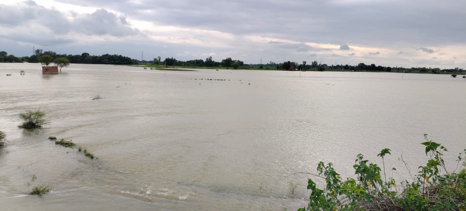 बेलन नदी का जलस्तर बढ़ने से दर्जनों गांव के धान का फसल हुआ जलमग्न | New India Times