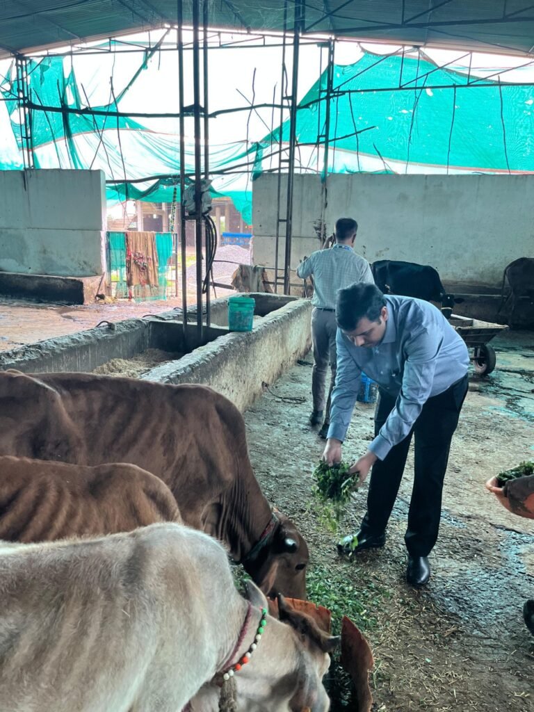 कलेक्टर ने मुगालिया छाप में विद्यालय, गौशाला और आंगनबाड़ी का किया निरीक्षण, अतिक्रमण हटाने के दिए निर्देश | New India Times