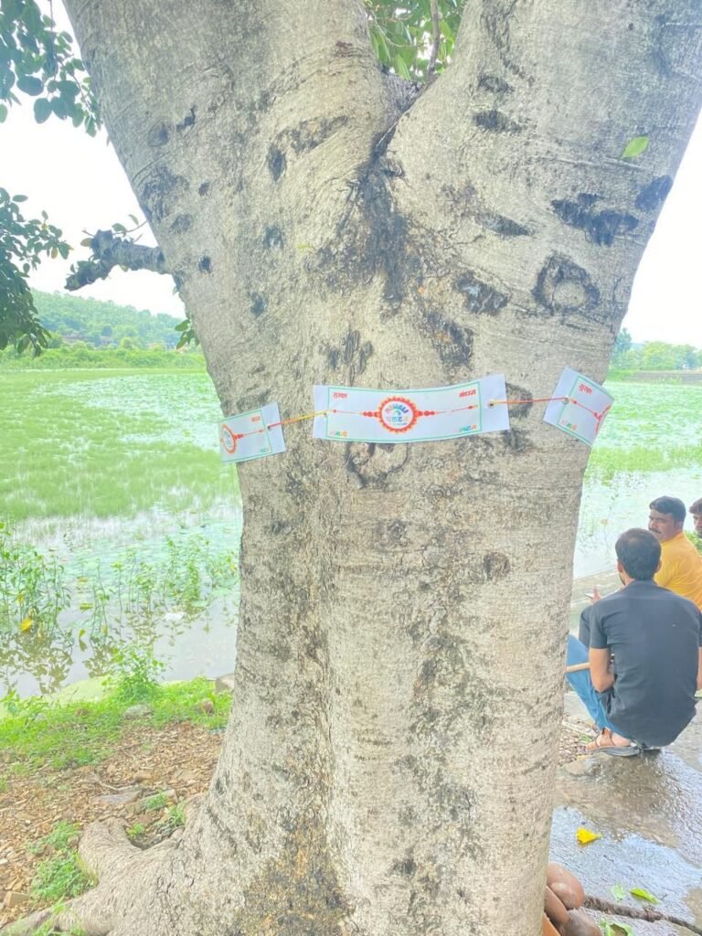 'मोगली पलटन' का सुरक्षा बंधन अभियान: पेड़ों को राखी बांधकर दी संरक्षण की सीख | New India Times
