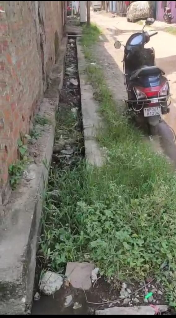 बजबजा रही नालियों की सफाई के लिए कौन होगा मेहरबान ? यह तो पता नहीं लेकिन मच्छरों के प्रकोप से गंभीर बीमारियों के फैलने का बना हुआ है खतरा | New India Times