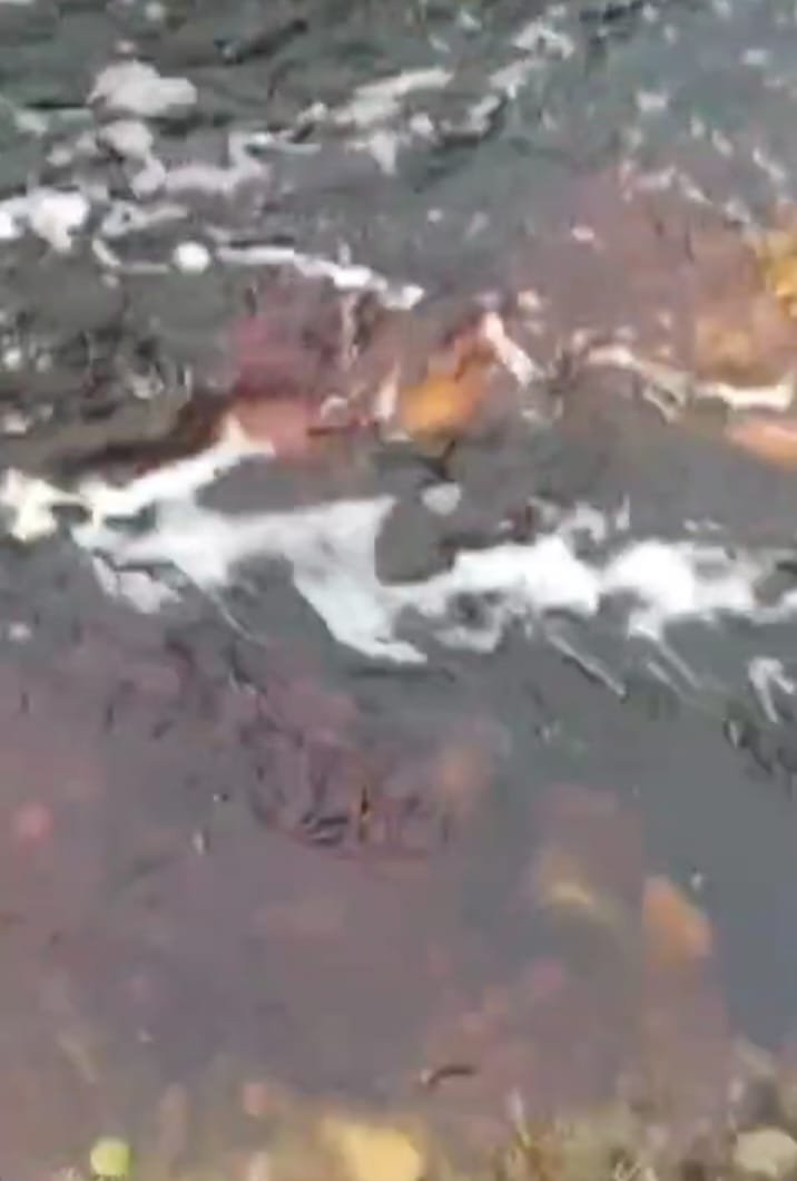 मेघनगर के पुरे क्षेत्र में केमिकल ही केमिकल,ज़हर उगलते कारखानों के खिलाफ जीवन बचाओ महा आंदोलन होगा आयोजन | New India Times