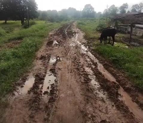 रिछेड़ा में विकास के दावे फेल, आजादी के दशकों बाद भी सड़क नसीब नहीं | New India Times