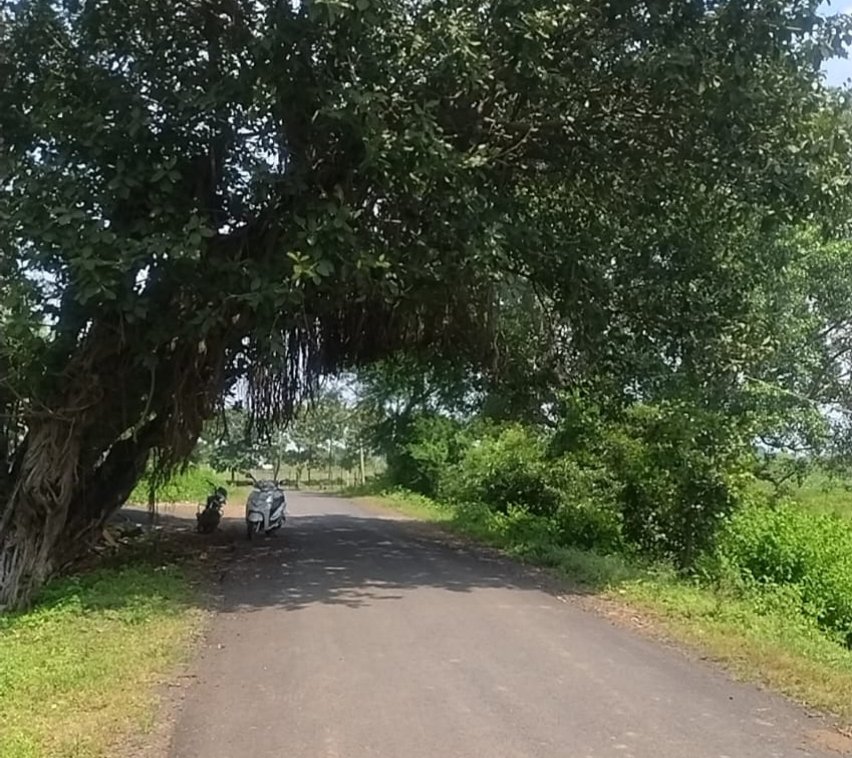 सागर जिले की 14 समिति प्रबंधकों ने कलेक्टर को पुनः जांच कर एफआईआर रद्द करने की मांग को लेकर सौंपा ज्ञापन | New India Times