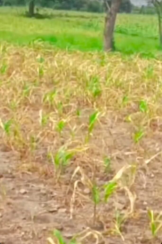 मेघनगर के पुरे क्षेत्र में केमिकल ही केमिकल,ज़हर उगलते कारखानों के खिलाफ जीवन बचाओ महा आंदोलन होगा आयोजन | New India Times