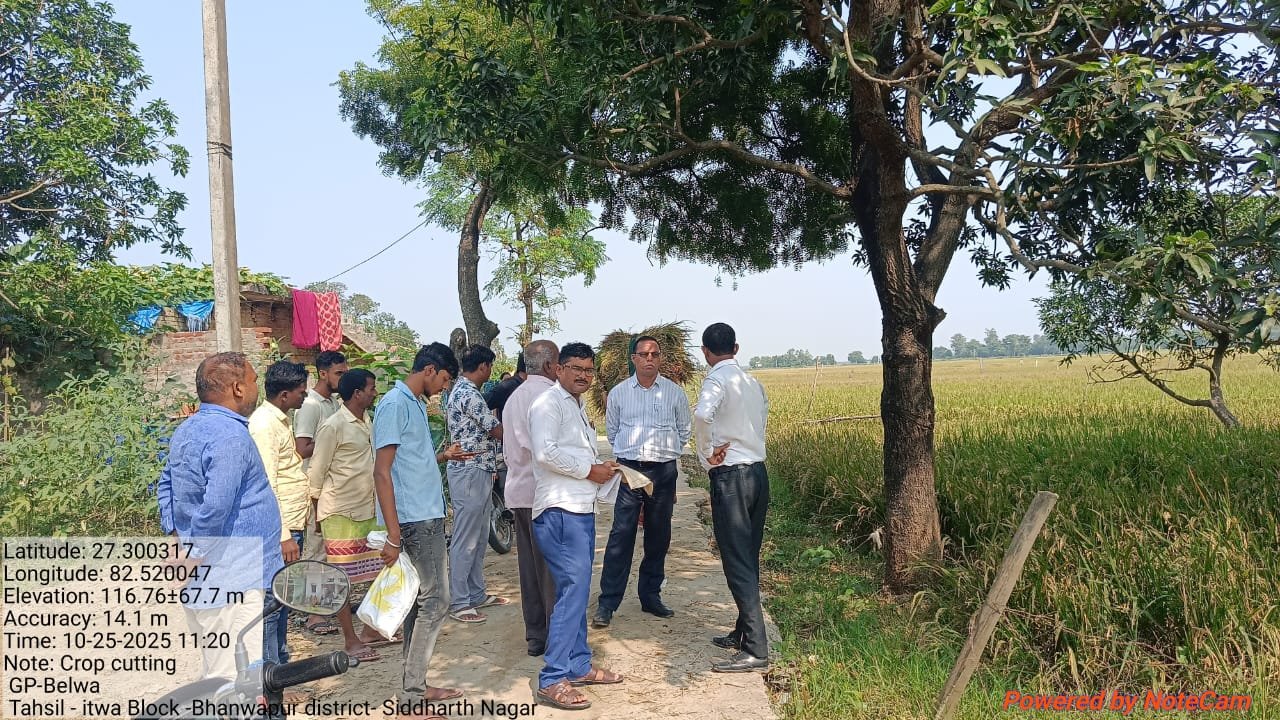 बेलवा गांव में धान क्रॉप कटिंग कर उपज का आंकलन, फसल बीमा के लिए डेटा अपलोड | New India Times