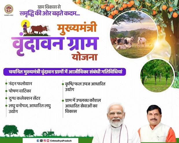 जिला पंचायत सदस्य गीता बेन के प्रयासों से ग्राम कल्याणपुरा मुख्यमंत्री वृंदावन ग्राम योजना में शामिल | New India Times