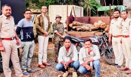 चौरई वन विभाग की बड़ी कार्रवाई: सागौन तस्करी में दो वाहन जब्त, आरोपी गिरफ्तार | New India Times