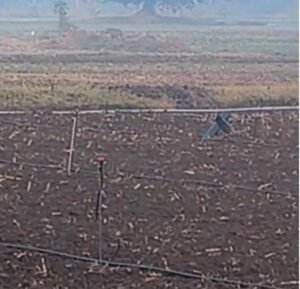 मऊ गांव में बाघ की मूवमेंट से&nbsp; ग्रामीणों में दहशत | New India Times