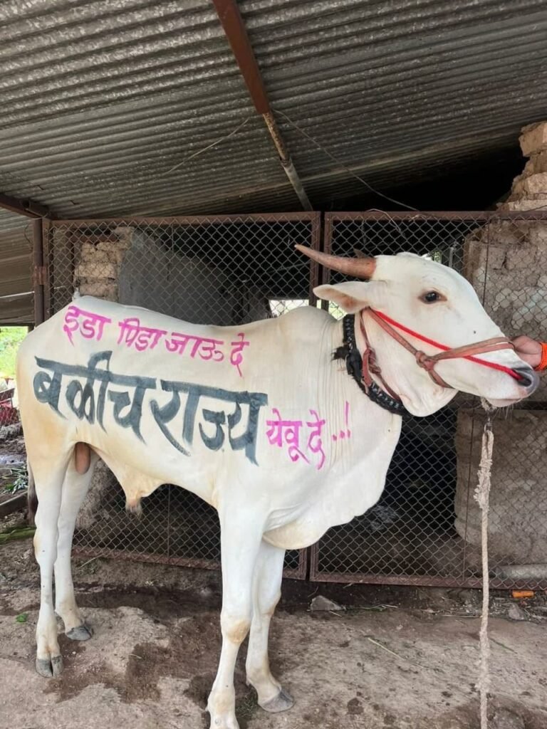 महाराष्ट्र के किसानों के लिए 2 लाख करोड़ के पैकेज की आवश्यकता : सरकार नाकाम | New India Times