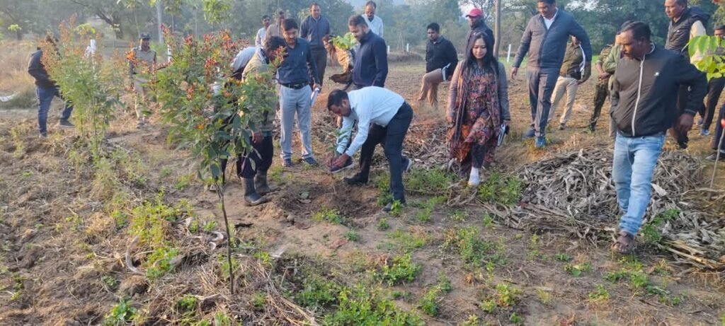 कलेक्टर हरेंद्र नारायन ने जुन्नारदेव का किया औचक निरीक्षण, जैविक खेती और विकास कार्यों की ली समीक्षा 2 कलेक्टर हरेंद्र नारायन ने जुन्नारदेव का किया औचक निरीक्षण, जैविक खेती और विकास कार्यों की ली समीक्षा | New India Times