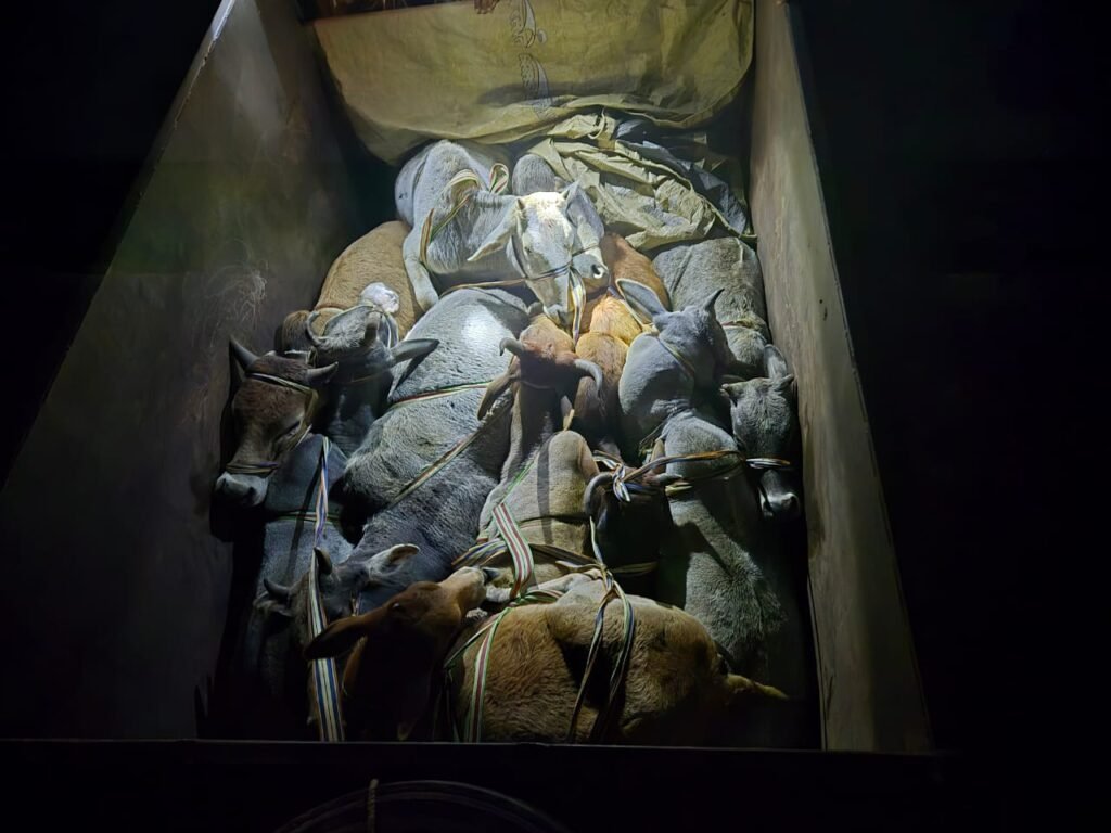 जब वर्दी बनी बेजुबानों की ढाल: इंस्पेक्टर बाल मुकुंद मिश्रा की साहसिक कार्रवाई | New India Times