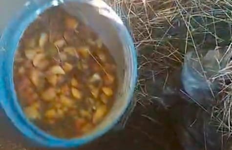 अवैध शराब अड्डों पर आबकारी विभाग की बड़ी कार्रवाई, 550 किलो महुआ लहन नष्ट | New India Times