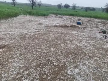 राजस्थान में बारिश और ओलावृष्टि: जयपुर में सीजन की पहली मावठ, कोहरा और शीतलहर की चेतावनी 2 राजस्थान में बारिश और ओलावृष्टि: जयपुर में सीजन की पहली मावठ, कोहरा और शीतलहर की चेतावनी | New India Times