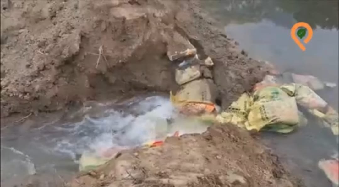 निगोहां में नहर पाटकर अवैध प्लाटिंग का आरोप, सैकड़ों बीघा फसल जलमग्न | New India Times