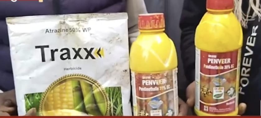 बिना योग्यता संचालित कृषि सेवा केंद्र की लापरवाही, गलत दवा बेचने से किसानों की धनिया फसल बर्बाद | New India Times