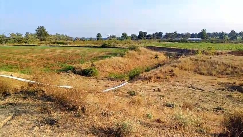 कोल्हिया डैम की नहर से पानी बंद, पांच गांवों की गेहूं फसल सूखने की कगार पर | New India Times