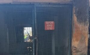 वेकोलि की लापरवाही से दातलावादी में जल संकट गहराया, एक माह से खराब मोटर पंप नहीं हुआ ठीक | New India Times