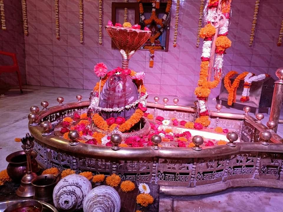 महाशिवरात्रि पर दूधेश्वर महादेव मंदिर में उमड़ा आस्था का जनसैलाब, हर-हर महादेव के जयघोष से गूंजा क्षेत्र | New India Times