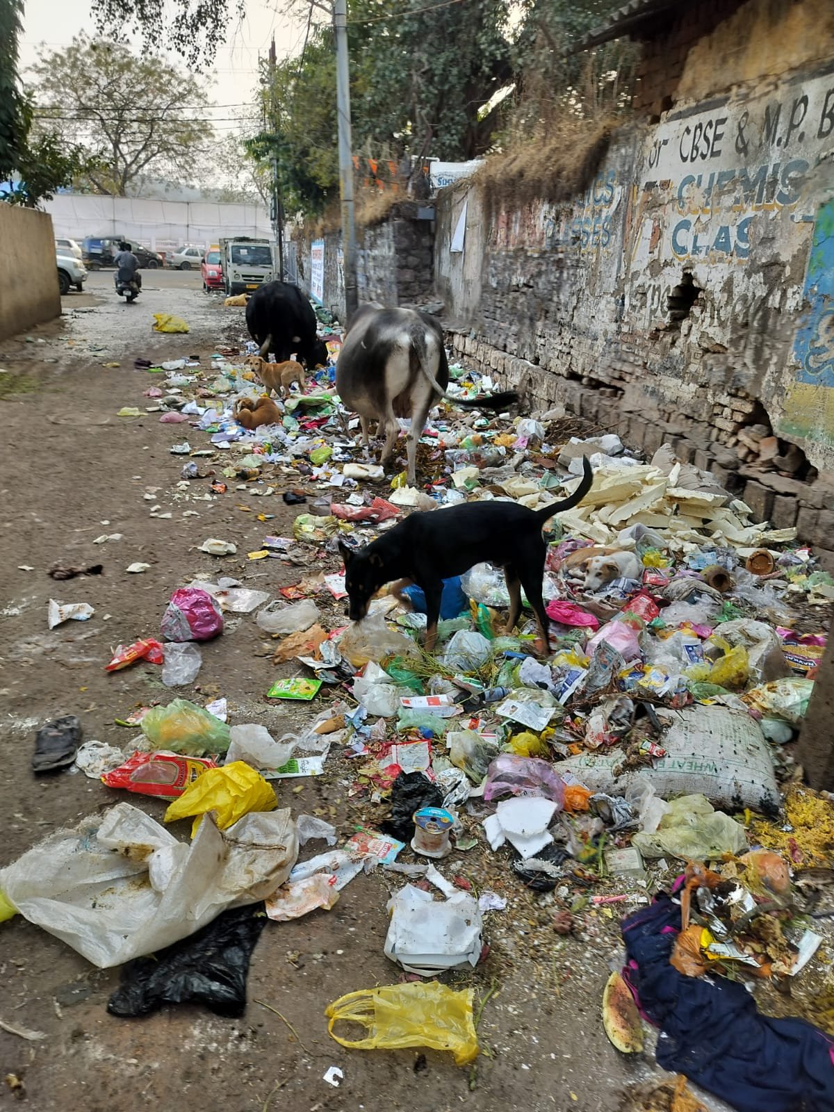 वार्ड 34 में गंदगी का अंबार, रहवासी परेशान | New India Times