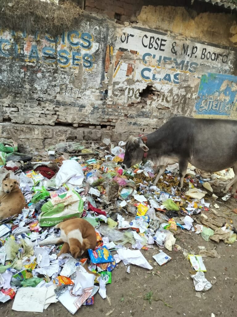 वार्ड 34 में गंदगी का अंबार, रहवासी परेशान | New India Times