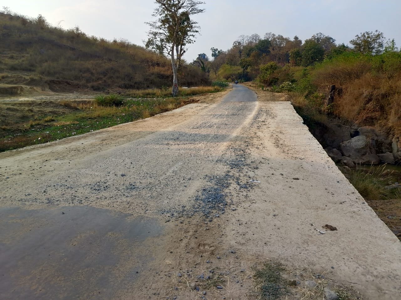 कोल्हिया ग्राम में रपटा पुलिया का घटिया निर्माण उजागर, एक साल में ही उखड़ने लगी सड़क | New India Times