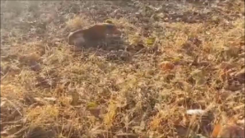 खारी में तेज रफ्तार ट्रैक्टर ने बाइक सवार दो दोस्तों को मारी टक्कर, एक की मौत, एक गंभीर घायल | New India Times