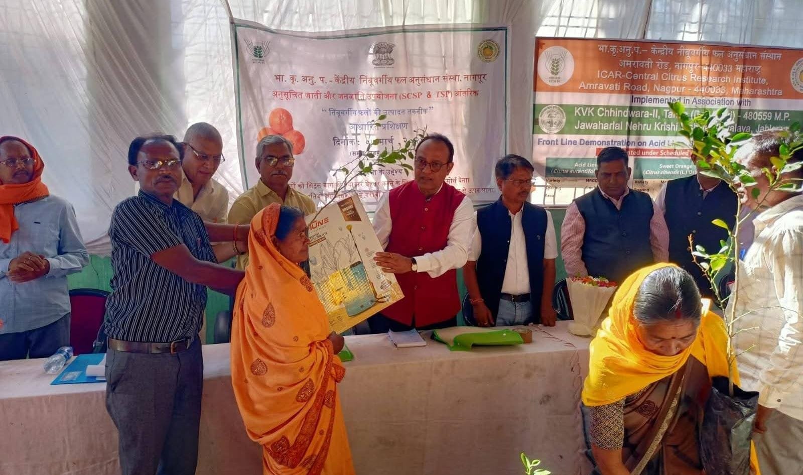 कृषि विज्ञान केंद्र देलाखारी में नींबू वर्गीय फलों को बढ़ावा देने के लिये कार्यशाला आयोजित 1 कृषि विज्ञान केंद्र देलाखारी में नींबू वर्गीय फलों को बढ़ावा देने के लिये कार्यशाला आयोजित | New India Times