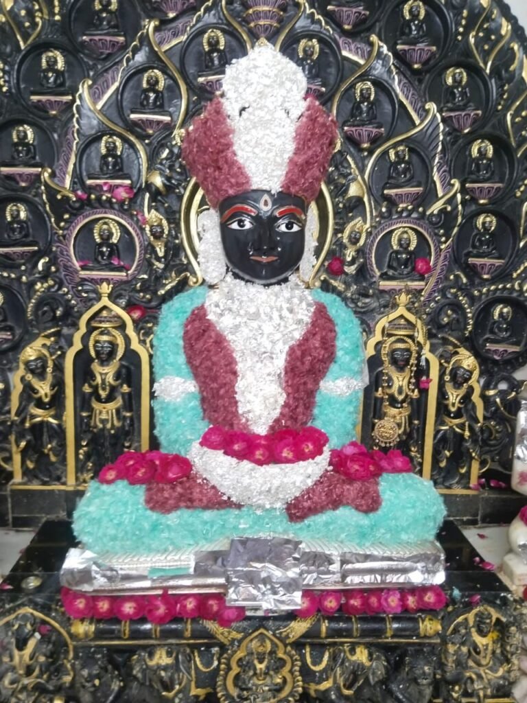 भक्ति में डूबा झकनावदा, श्री आदिनाथ जन्म कल्याणक एवं दीक्षा महोत्सव धूमधाम से मनाया गया | New India Times