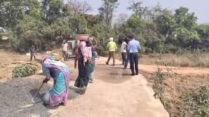 ग्राम पंचायत पालाचौरई में भ्रष्टाचार के आरोप: घटिया पुलिया निर्माण पर लीपापोती, ग्रामीणों ने की जांच की मांग