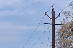 11 केवी फीडर का तार टूटने से डुंगरिया-खापा स्वामी में 3 घंटे बिजली गुल