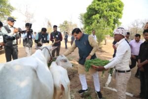 सागर में सीएम मोहन यादव का सादगी भरा जन्मदिन: किसान के घर भोजन, टाइगर रिजर्व में कछुओं को छोड़ा