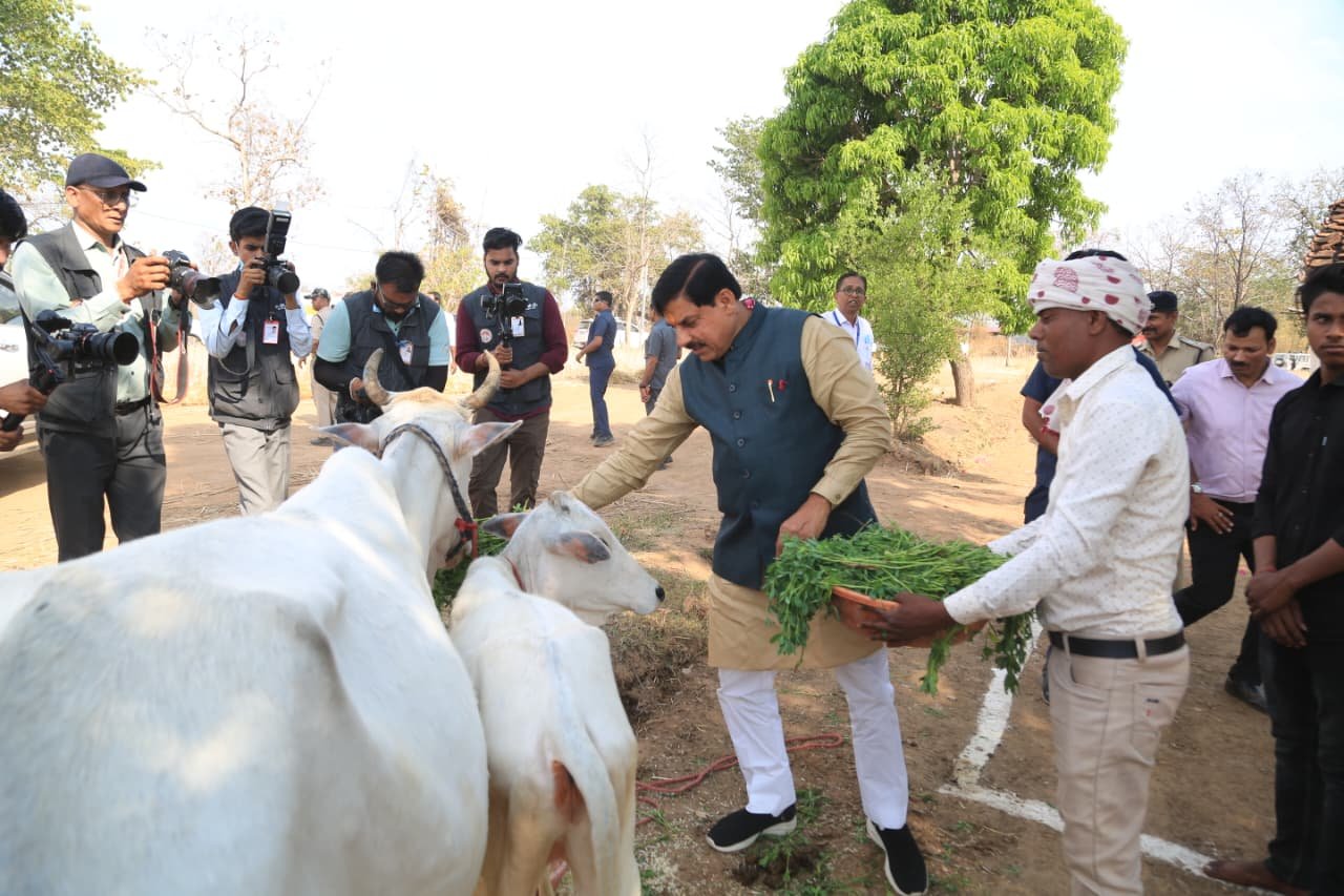 सागर में सीएम मोहन यादव का सादगी भरा जन्मदिन: किसान के घर भोजन, टाइगर रिजर्व में कछुओं को छोड़ा | New India Times