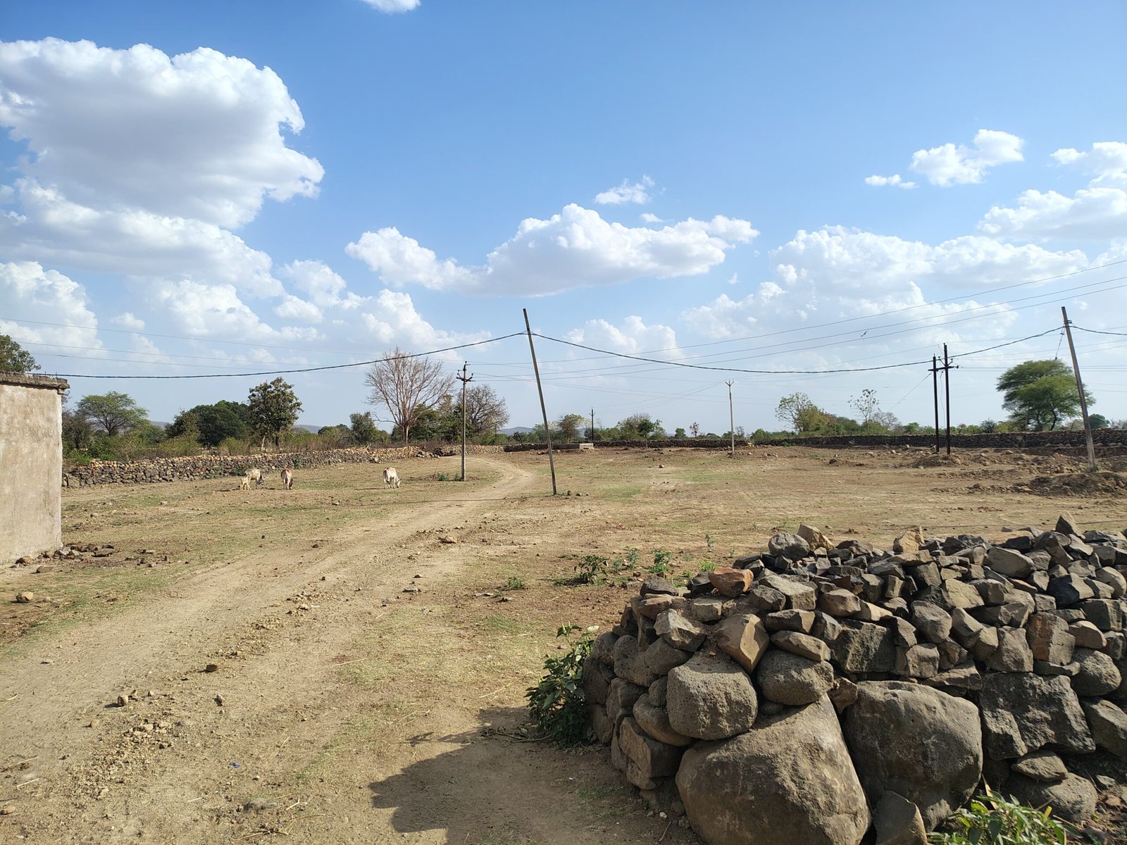 खमरिया पंचायत में मनरेगा घोटाले का आरोप: फर्जी मस्टर रोल से सरकारी राशि का दुरुपयोग | New India Times