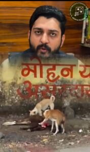 मरी हुई गाय का वीडियो बनाकर सवाल पूछना बना ‘गुनाह’?ओसामा अंसारी को पुलिस ने भेजा जेल