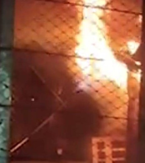 Indore में इलेक्ट्रिक कार चार्जिंग के दौरान भीषण आग, 8 की मौत – शॉर्ट सर्किट बना कारण | New India Times